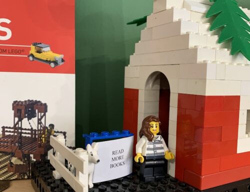 MARCH LEGO MADNESS FUNDRAISER EVENT
