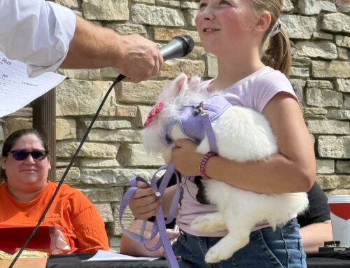 PET SHOW