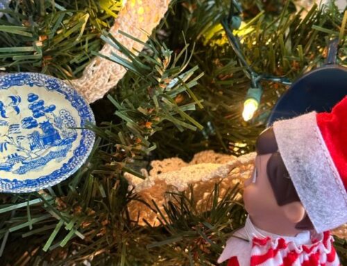 LAST DAY OF THE ART AND TREE FESTIVAL