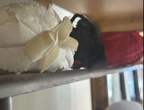 ✨ Last Chance to See Our Special Library Display! ✨