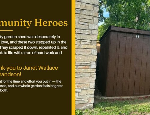 Community Heroes