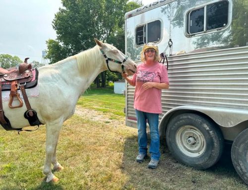 God and Horses Blessing Others