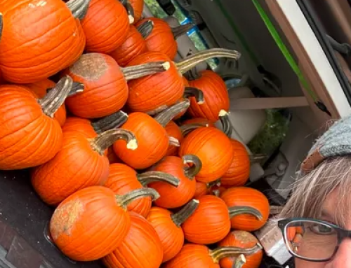 Annual Pumpkin Painting Event